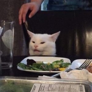 Meet your Posher, Kat